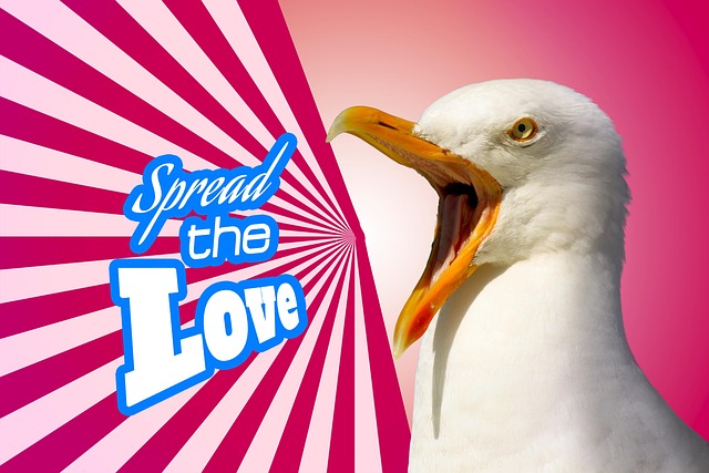 Online store page showing bird seed options