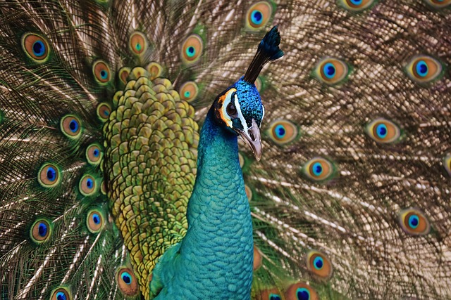 Outdoor display of bird seed deals