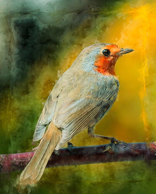 Packaged bird food labelled for robins