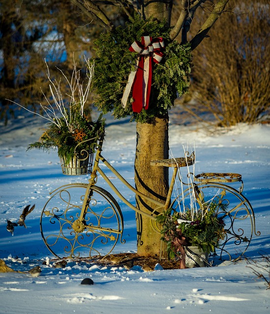 Peanut feeder surrounded by winter garden scenery