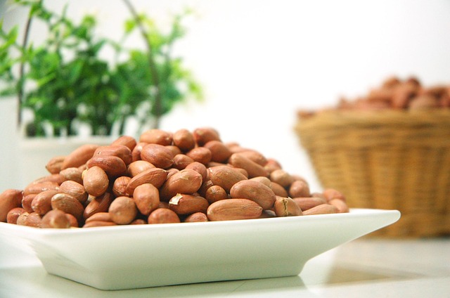 Peanuts scattered on garden feeding tray