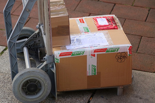 Person unpacking bird seed delivery box