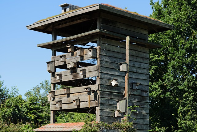Quiet bird box after breeding season