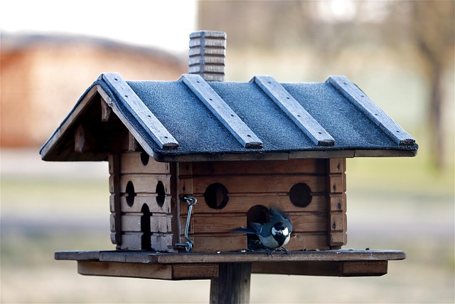 Rain cover sheltering ground bird feeding station