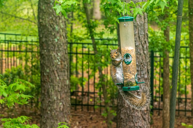Rustic ground feeder with weatherproof top