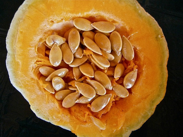 Seed mix with dried fruits