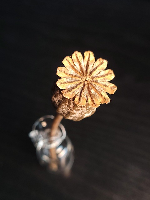 Seed mix with dried fruits