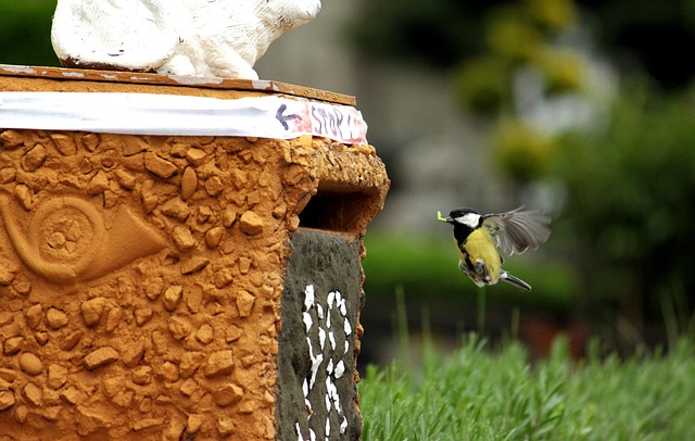Small bird feeding platform with seed tray