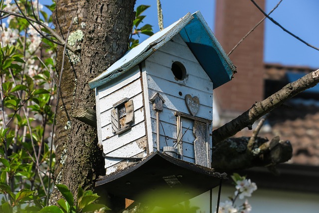 Small birds feeding from specialized feeder