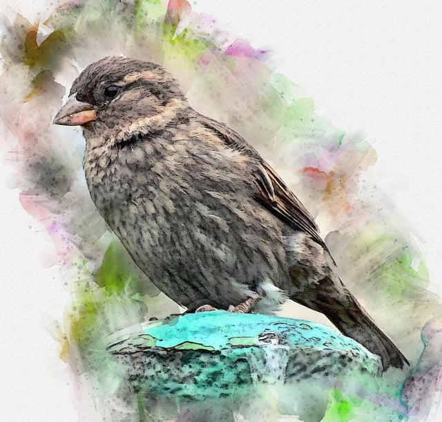 Sparrow leaving an abandoned nest