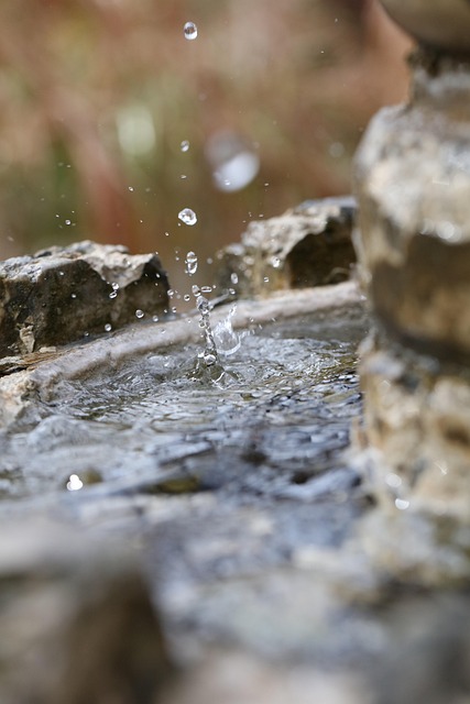 Stone bird bath with sparrows splashing water