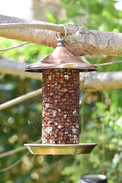 Sturdy feeder mounted on pole guard