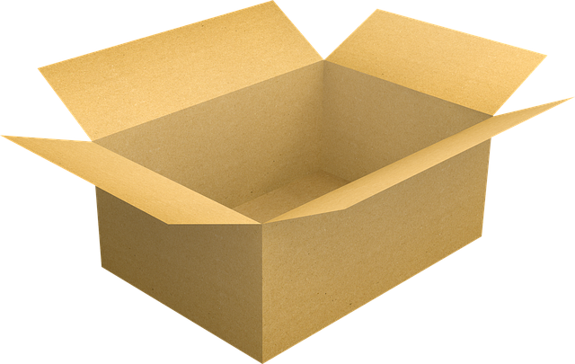 Suet and seed mix in delivery box