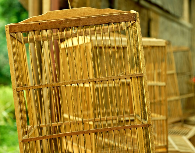 Suet balls stacked inside wire feeder cage
