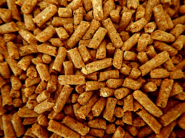 Suet pellets scattered on garden table