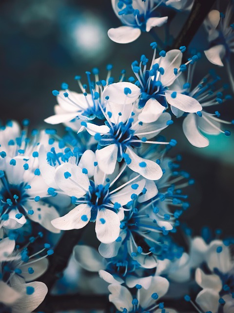 Summer flowers with birds nearby