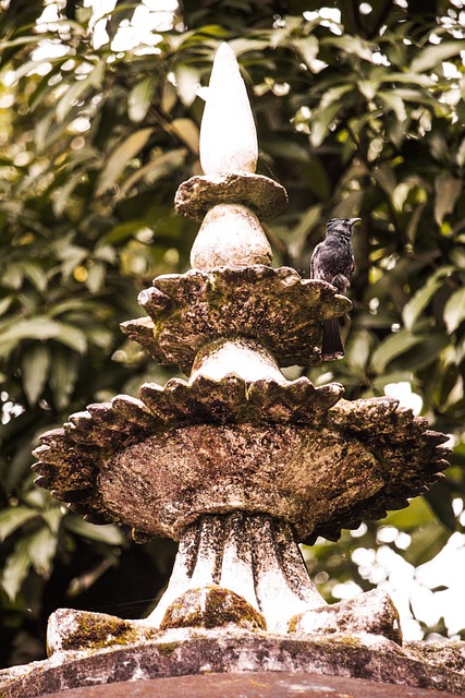 Terracotta bird bath with clear reflection