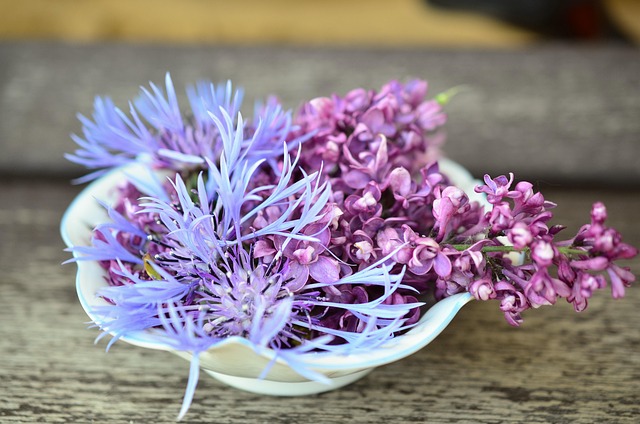 Variety of seeds in wooden bowl
