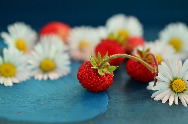 Wild birds feeding on fresh berries