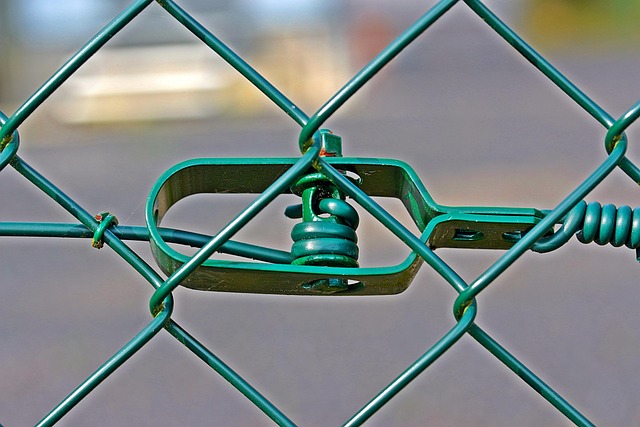 Wire mesh feeder deterring large birds