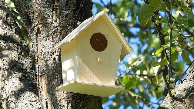 bird feeder station