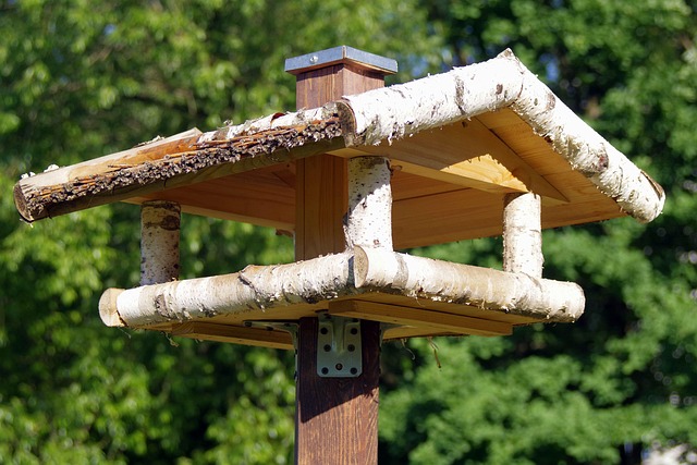 Birds feeding from pigeon-resistant feeder