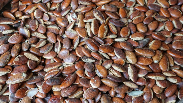 Birds pecking at abundant seed pile