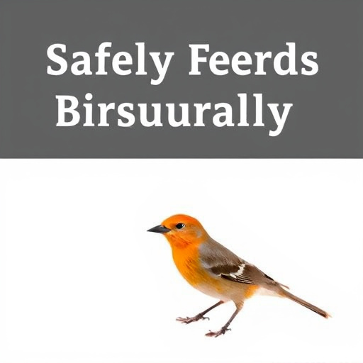 Safely Feed Birds Naturally: Step-by-Step Guide to Best Practices