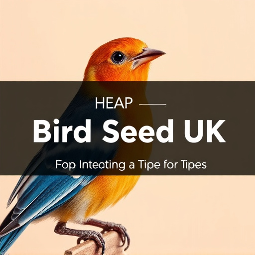 Cheap Bird Seed UK: Top Retailers and Tips for Savvy Shoppers
