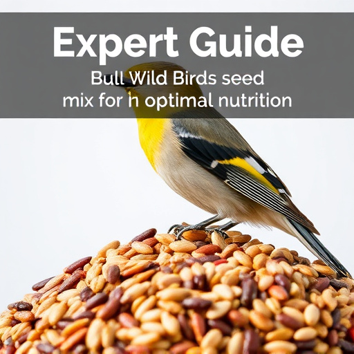 Expert Guide: Bulk Wild Bird Seed Mix for Optimal Nutrition