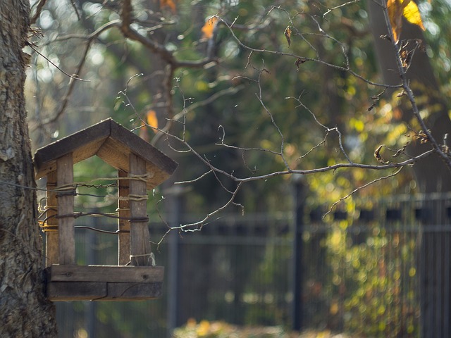 Colorful autumn leaves and feeders