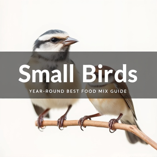 Nourish Small Birds: Year-Round Best Food Mix Guide