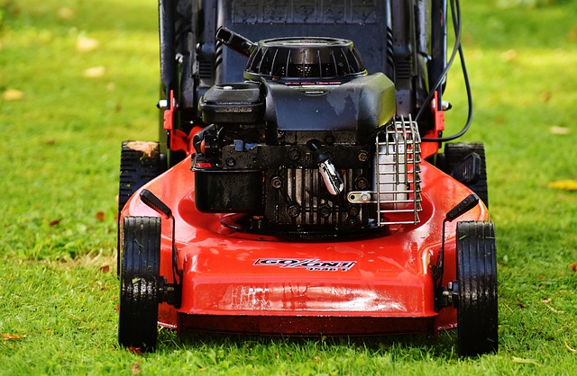 Covered tray feeder on garden lawn