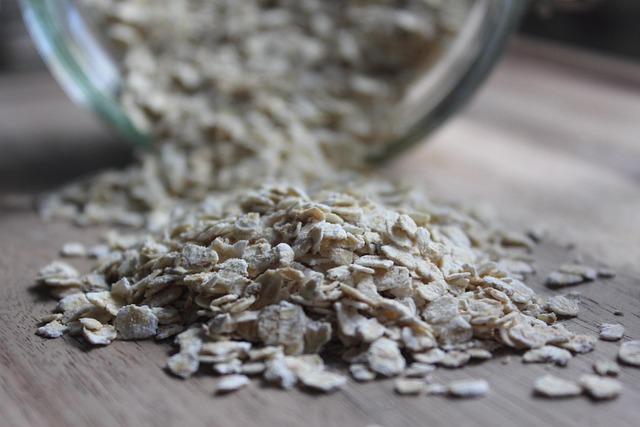 Leftover oats placed near bird perch