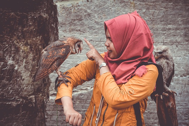 Unveiling 2025's Best Bird Boxes: Eco-Friendly Top Picks
