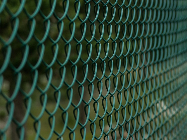 Feeding Finches and Tits: The Ultimate Mealworm Station Guide