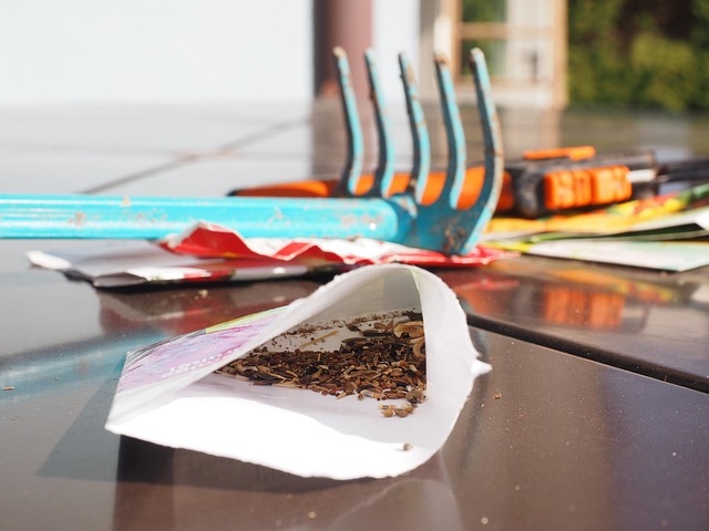 Expert Guide: Bulk Buy Wild Bird Seed Mix Attract More Birds