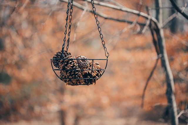 Feeding Garden Birds with Safe Peanut Choices