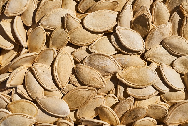Unleash Nutritional Power: Bird Seed Without Wheat Benefits