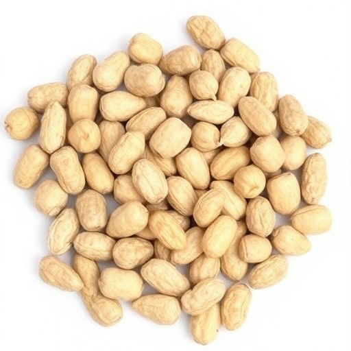 Refill scoop of peanuts for birds