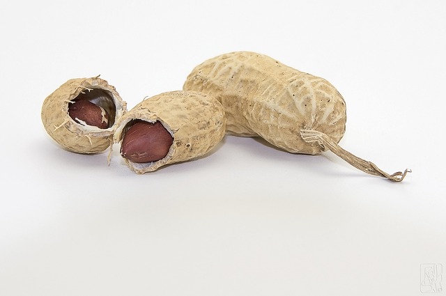 Rustic container filled with bird peanuts