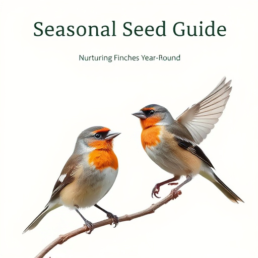 Seasonal Seed Guide: Nurturing Finches Year-Round