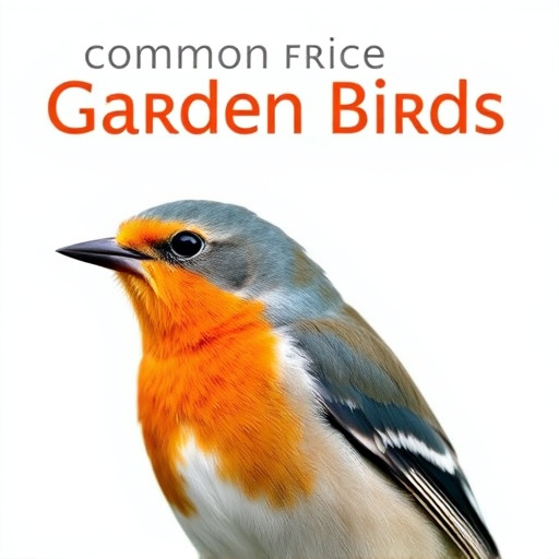 Common Garden Birds UK: A Guide to Familiar Faces