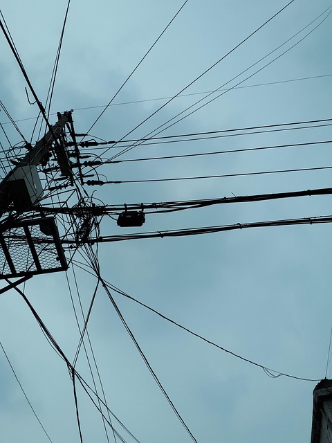 Sturdy feeder mounted on pole guard