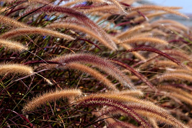 Wild bird seed in eco-friendly bag