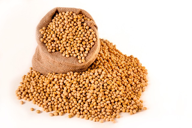Wild bird seed pouring from bag