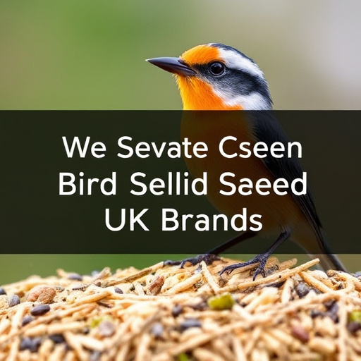 Bird seed scattered on feeder tray