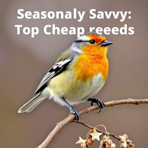 Birds feeding on scattered seeds