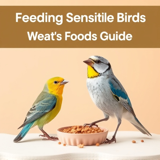 Feeding Sensitive Birds: Wheat-Free Bird Food Guide