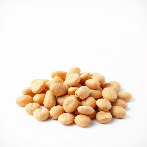 Sourcing Best Price Peanuts for Economical Bird Feeding